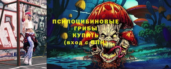 тгк Корсаков