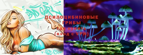 mdma Коряжма