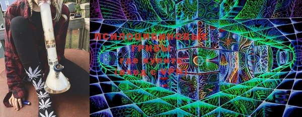 apvp Кодинск
