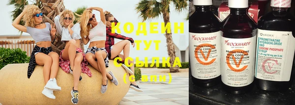 тгк Корсаков