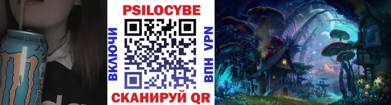 Купить где  Богданович  Псилоцибиновые грибы мицелий 